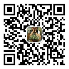 掃一掃，關注盛大廣告官方微信